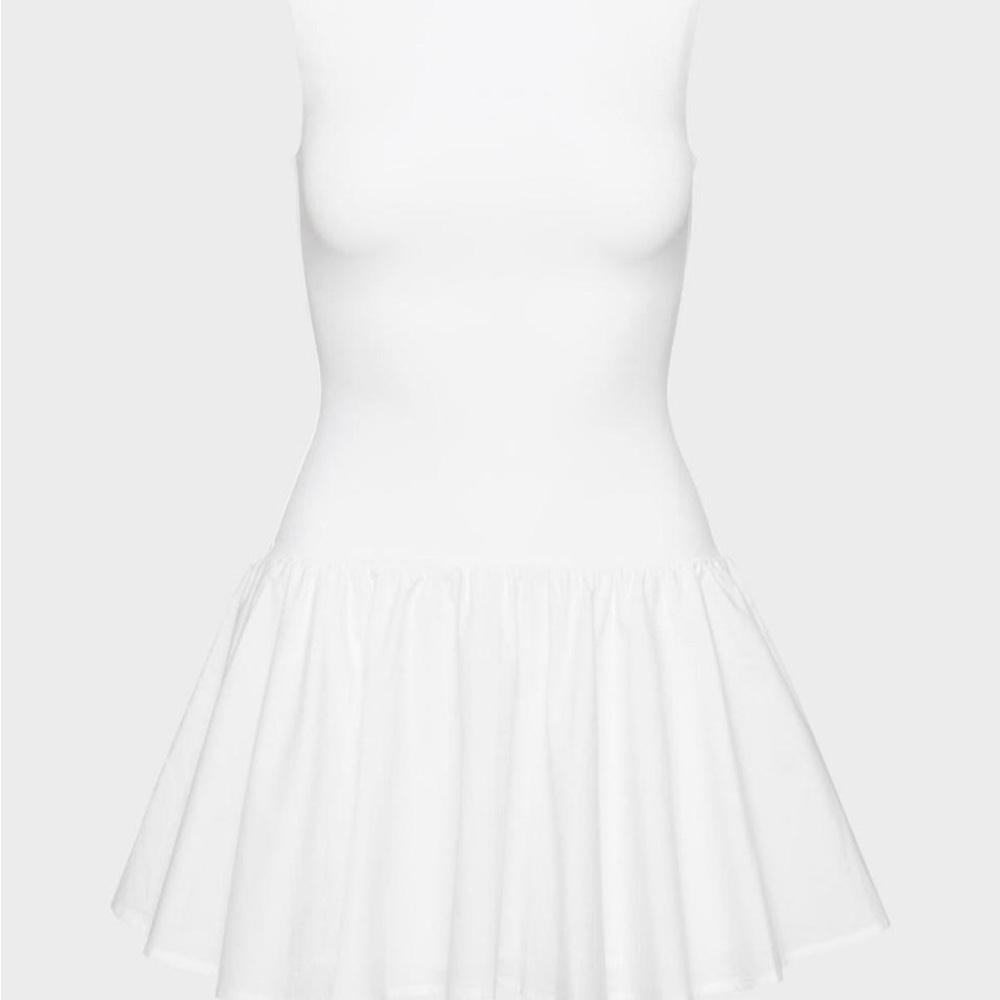 Aritzia Segment Poplin Dress